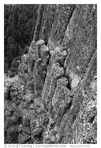 Close up of columns of basalt on Pilot Rock. Cascade Siskiyou National Monument, Oregon, USA (black and white)