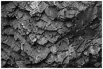 Detail of balsalt rock and lichen, Pilot Rock. Cascade Siskiyou National Monument, Oregon, USA ( black and white)