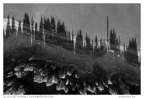 Aerial view of looking down Hyatt Lake shoreline with tree shadows. Cascade Siskiyou National Monument, Oregon, USA (black and white)