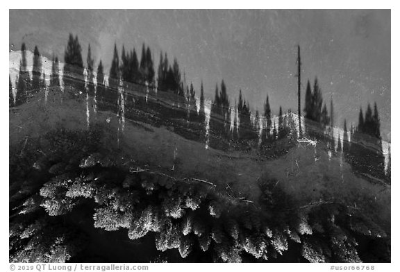 Aerial view of looking down Hyatt Lake shoreline with tree shadows. Cascade Siskiyou National Monument, Oregon, USA (black and white)