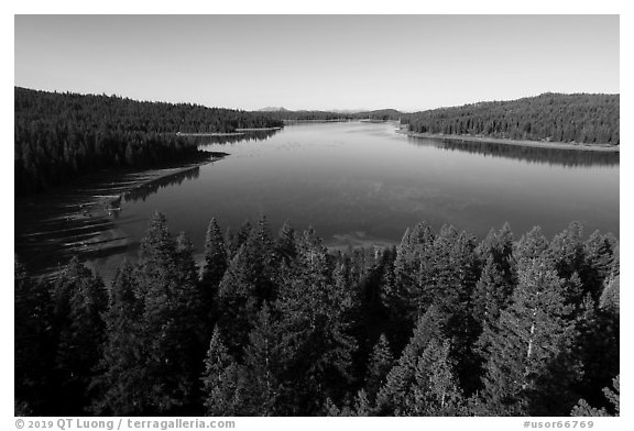 Aerial view of Hyatt Lake east shore. Cascade Siskiyou National Monument, Oregon, USA (black and white)