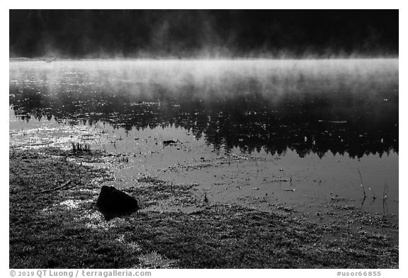 Fog and sunlight, Hyatt Lake. Cascade Siskiyou National Monument, Oregon, USA (black and white)