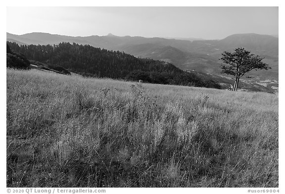 Meadow and Rogue Valley, Green Springs Mountain. Cascade Siskiyou National Monument, Oregon, USA (black and white)