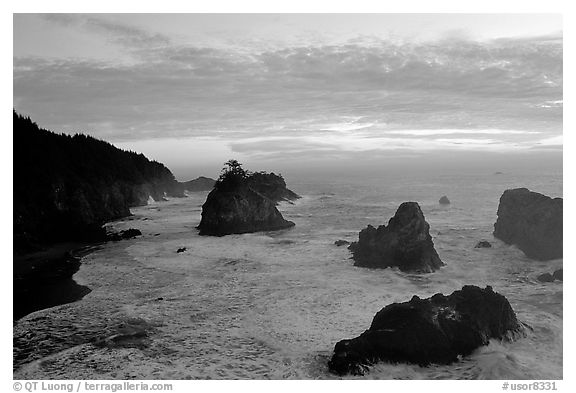 Seastacks and surf at sunset, Samuel Boardman State Park. Oregon, USA