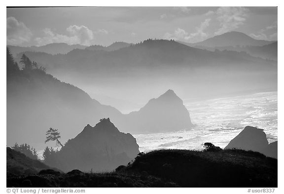 Rugged Coastline, late afternoon, Hamburg Mountain State Park. Oregon, USA