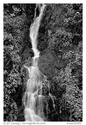 Waterfall, Hamburg Mountain State Parke. Oregon, USA (black and white)
