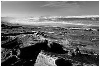 Beach with driftwood. Bandon, Oregon, USA ( black and white)
