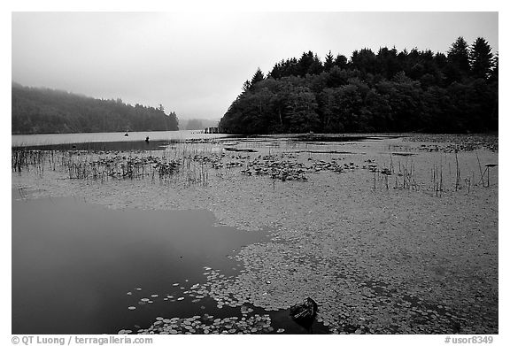 Coastal lagoon. Oregon, USA (black and white)