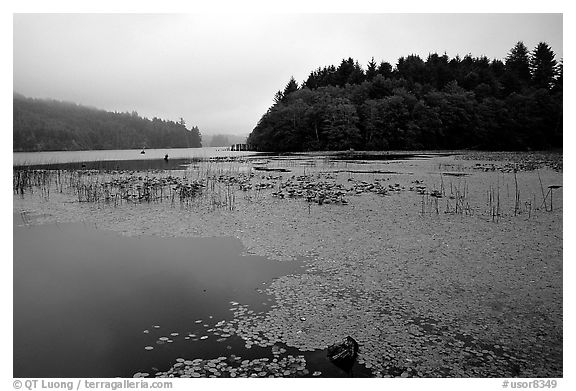 Coastal lagoon. Oregon, USA