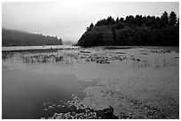 Coastal lagoon. Oregon, USA ( black and white)