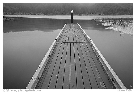 Deck in a coastal lagoon. Oregon, USA (black and white)