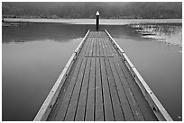 Deck in a coastal lagoon. Oregon, USA (black and white)