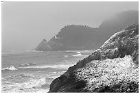 Rock with birds in fog,  Haceta Head in the background. Oregon, USA ( black and white)