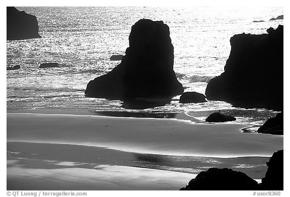 Rocks, water reflections, and beach, late afternoon. Bandon, Oregon, USA (black and white)