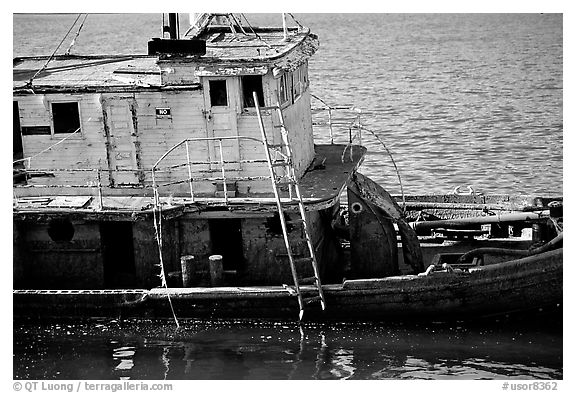 Shipwreck near Coquille River. Oregon, USA (black and white)