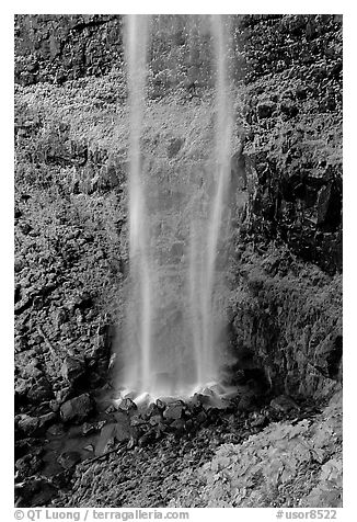 Diaphane waterfall, North Umpqua watershed. Oregon, USA (black and white)