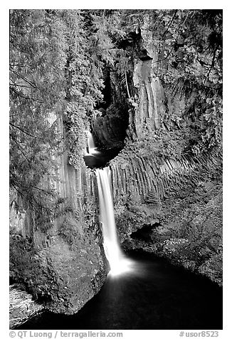 Toketee Falls  and wall of columnar balsalt. Oregon, USA (black and white)