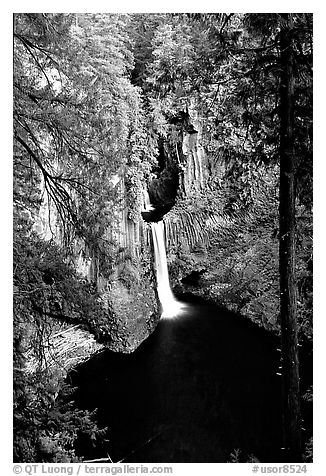 Toketee Falls. Oregon, USA (black and white)