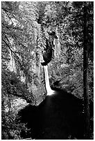 Toketee Falls. Oregon, USA (black and white)