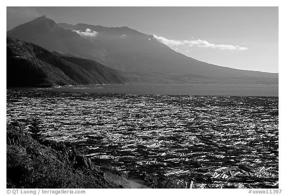 Blown trees float on Spirit Lake, late afternoon. Mount St Helens National Volcanic Monument, Washington (black and white)