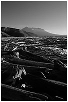 Tree trunks cover Spirit Lake, late afternoon. Mount St Helens National Volcanic Monument, Washington ( black and white)