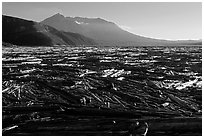 Enormousn tree mat cover Spirit Lake, and Mt St Helens. Mount St Helens National Volcanic Monument, Washington ( black and white)