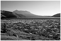 Spirit Lake clogged with dead trees. Mount St Helens National Volcanic Monument, Washington (black and white)