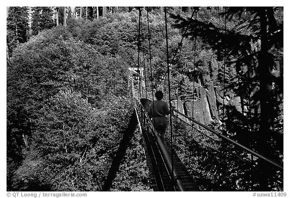 Hiker walks on suspension bridge, Lava Canyon. Mount St Helens National Volcanic Monument, Washington