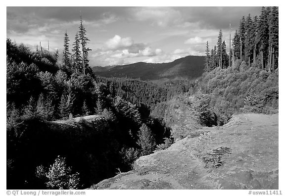 Forest and gorge, Lava Canyon. Mount St Helens National Volcanic Monument, Washington (black and white)