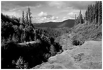 Forest and gorge, Lava Canyon. Mount St Helens National Volcanic Monument, Washington (black and white)