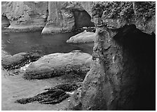 Sea caves and cliffs, Cape Flattery, Olympic Peninsula. USA ( black and white)