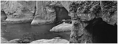 Seascape with seacaves, Olympic Peninsula. Olympic Peninsula, Washington (Panoramic black and white)