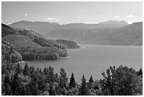 Riffe Lake. Washington (black and white)