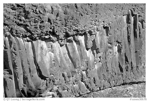 Columns of hardened basalt in lava cake, Lava Canyon. Mount St Helens National Volcanic Monument, Washington (black and white)