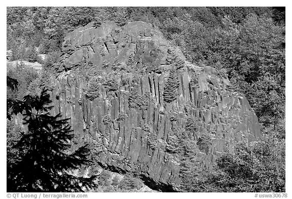 Bloc of columnar basalt, Lava Canyon. Mount St Helens National Volcanic Monument, Washington