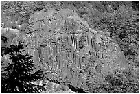 Bloc of columnar basalt, Lava Canyon. Mount St Helens National Volcanic Monument, Washington (black and white)