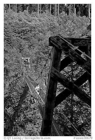 Suspension bridge over Lava Canyon. Mount St Helens National Volcanic Monument, Washington