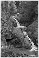 Muddy River cascades in Lava Canyon. Mount St Helens National Volcanic Monument, Washington ( black and white)