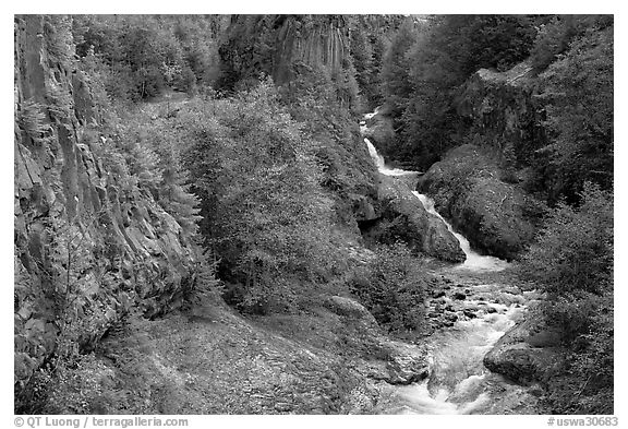 Basalt columns and Muddy River in Lava Canyon. Mount St Helens National Volcanic Monument, Washington (black and white)