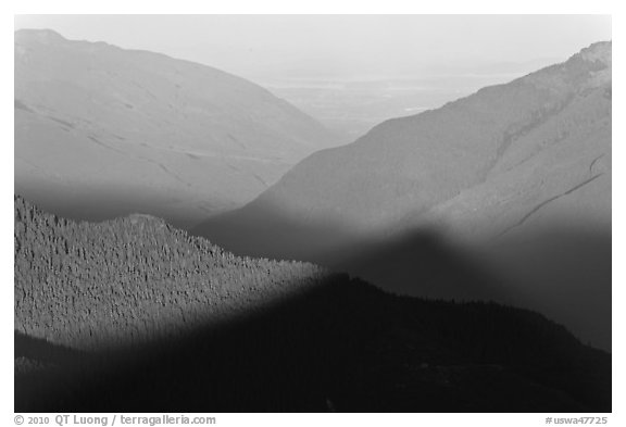Fog on bottom of Cascade River Valley in early morning. Washington (black and white)