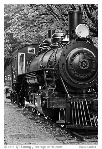 Historic steam locomotive, Newhalem. Washington (black and white)