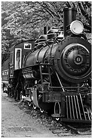 Historic steam locomotive, Newhalem. Washington (black and white)
