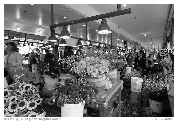 Flowers for sale in Main Arcade daystall,. Seattle, Washington