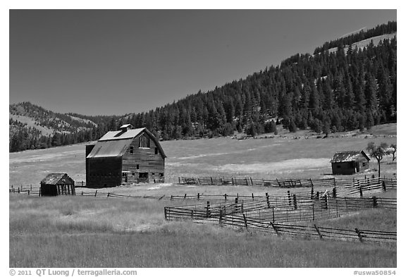 Barn and pasture in mountains. Washington (black and white)