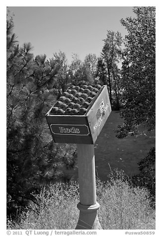 Sculpture of red apples box, Cashmere. Washington (black and white)