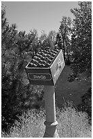 Sculpture of red apples box, Cashmere. Washington ( black and white)