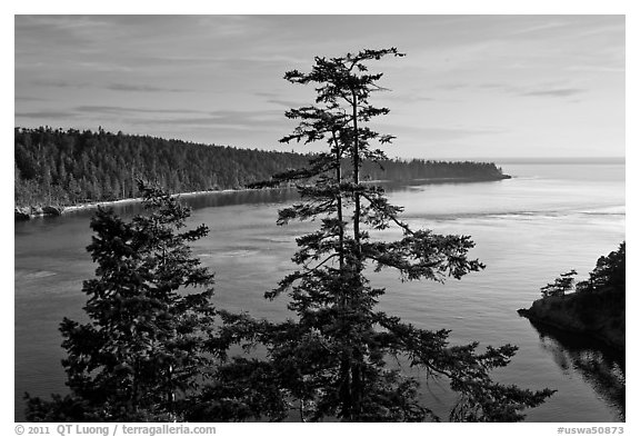 Deception Bay, Whidbey Island. Olympic Peninsula, Washington