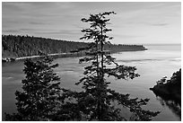 Deception Bay, Whidbey Island. Olympic Peninsula, Washington (black and white)