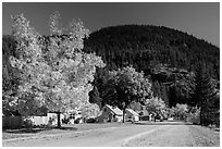 Diablo in autumn. Washington ( black and white)