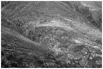 Slopes with burned forest and fall foliage, Lake Chelan. Washington ( black and white)